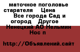 маточное поголовье старателя  › Цена ­ 3 700 - Все города Сад и огород » Другое   . Ненецкий АО,Нельмин Нос п.